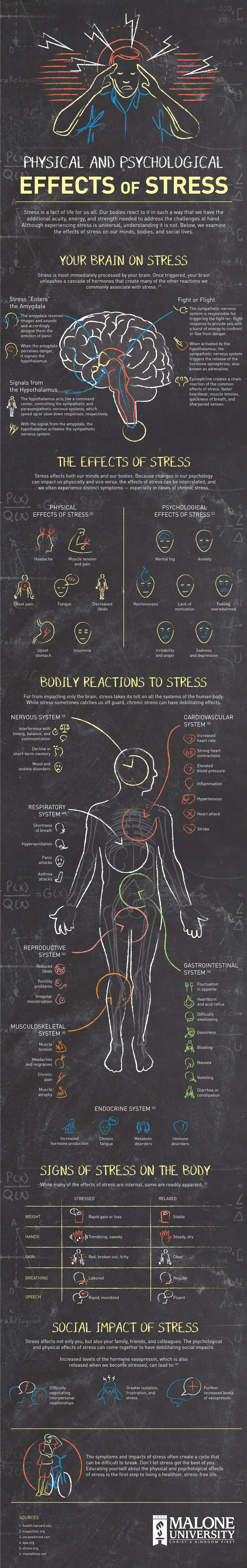 TLH 79MAL Physical and Psychological Effects of Stress 01 Fitness By Soma